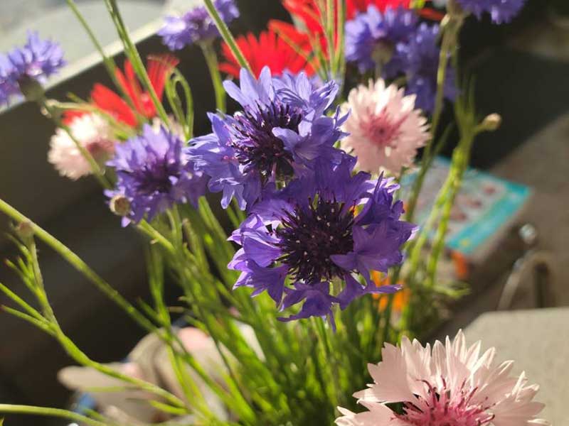 美容室ジュネス 着付け部屋